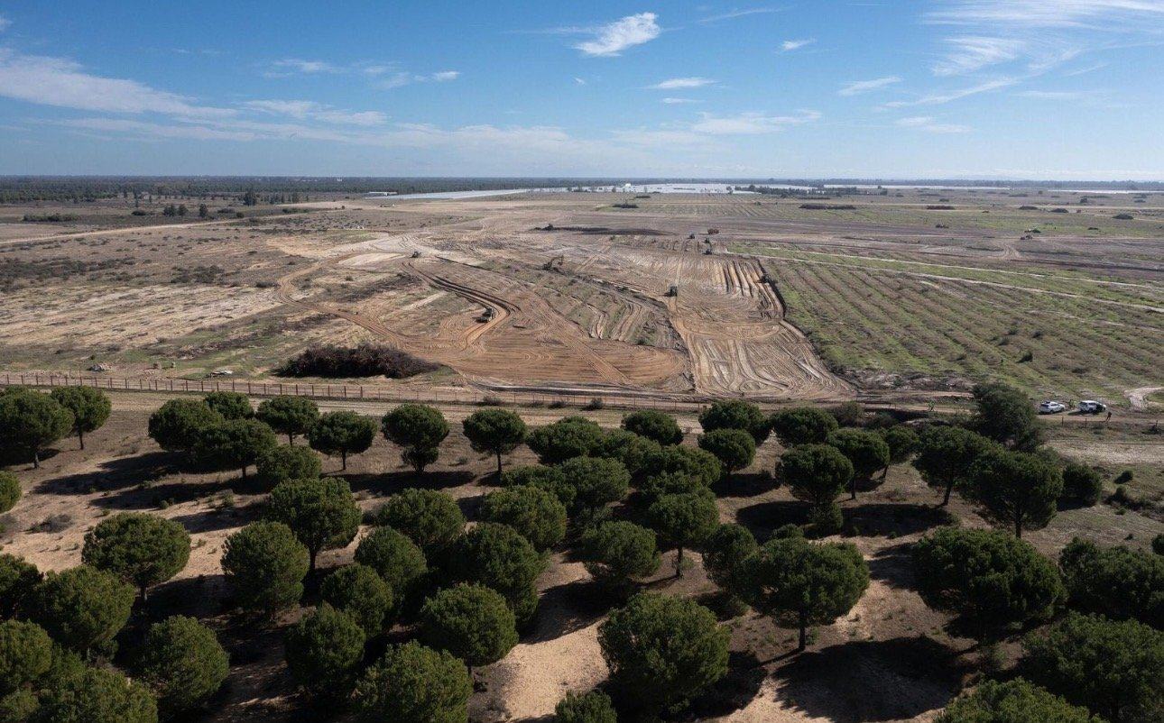 Seis millones de euros para sumar 1.000 hectáreas restauradas a Doñana en Almonte