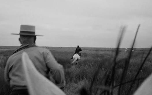 Almonte acogerá mañana la proyección gratuita del documental “La Marisma” en el Teatro Salvador Távora