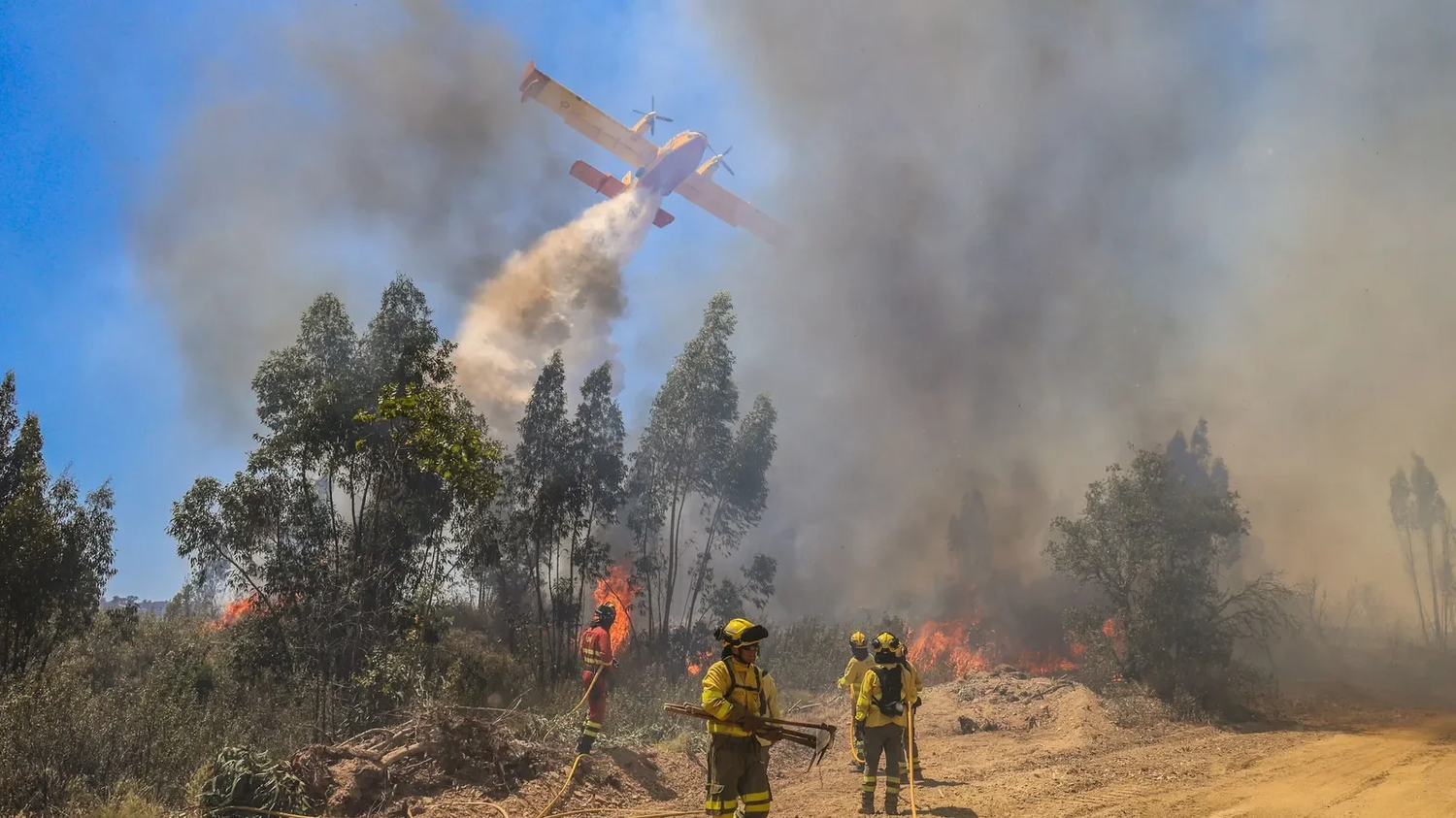 El incendio del Andévalo ya es el mayor registrado en Huelva desde el fuego de Doñana